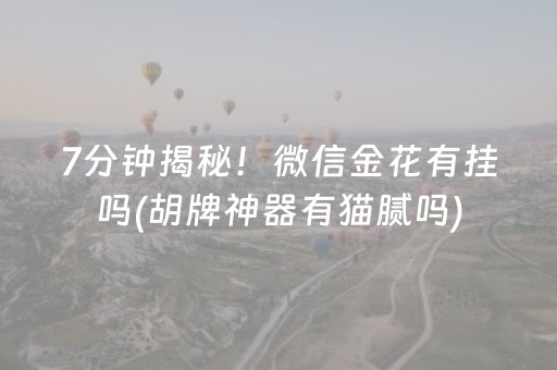 7分钟揭秘！微信金花有挂吗(胡牌神器有猫腻吗)