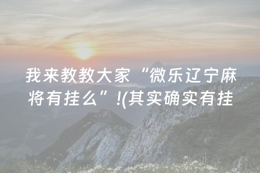 教程辅助“微乐福建麻将专用神器”（详细透视教程）-哔哩哔哩