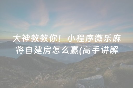 大神教教你！小程序微乐麻将自建房怎么赢(高手讲解技术)