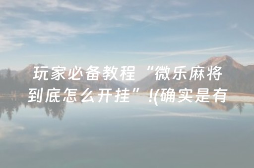 必看教程“控制微信红包尾数0至9扫雷埋雷辅助软件”（详细透视教程）-哔哩哔哩