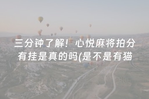 三分钟了解！心悦麻将拍分有挂是真的吗(是不是有猫腻)