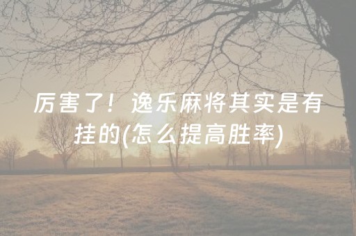 厉害了！逸乐麻将其实是有挂的(怎么提高胜率)