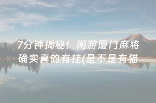 7分钟揭秘！闲游厦门麻将确实真的有挂(是不是有猫腻)