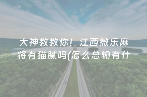 大神教教你！江西微乐麻将有猫腻吗(怎么总输有什么猫腻)