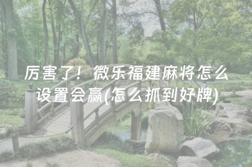 厉害了！微乐福建麻将怎么设置会赢(怎么抓到好牌)