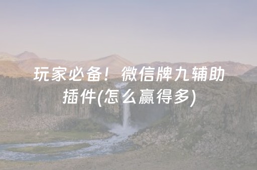 玩家必备！微信牌九辅助插件(怎么赢得多)