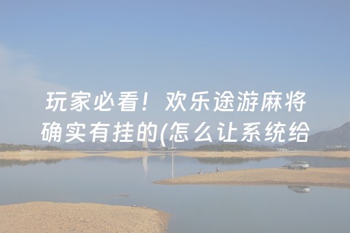 玩家必看！欢乐途游麻将确实有挂的(怎么让系统给好牌)