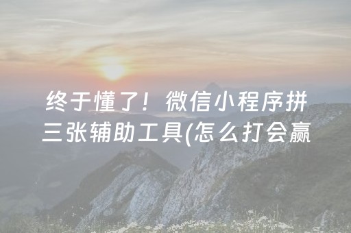 终于懂了！微信小程序拼三张辅助工具(怎么打会赢)