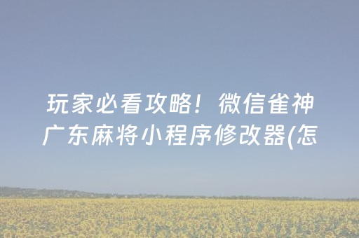 玩家必看攻略！微信雀神广东麻将小程序修改器(怎么设置能有好牌)