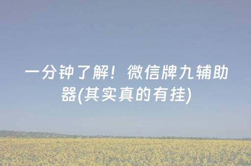 一分钟了解！微信牌九辅助器(其实真的有挂)