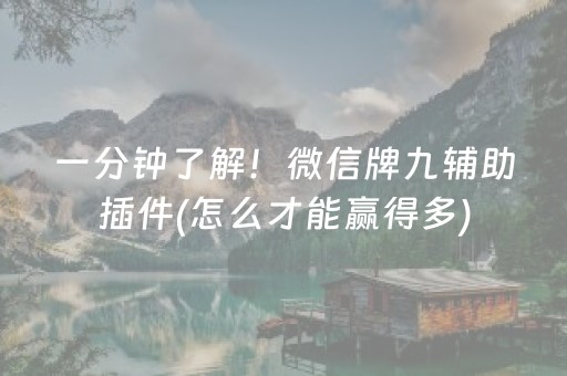 一分钟了解！微信牌九辅助插件(怎么才能赢得多)