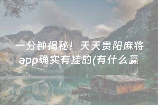 一分钟揭秘！天天贵阳麻将app确实有挂的(有什么赢的技巧)