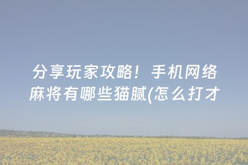 分享玩家攻略！手机网络麻将有哪些猫腻(怎么打才会赢)