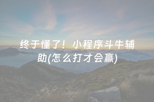 终于懂了！小程序斗牛辅助(怎么打才会赢)