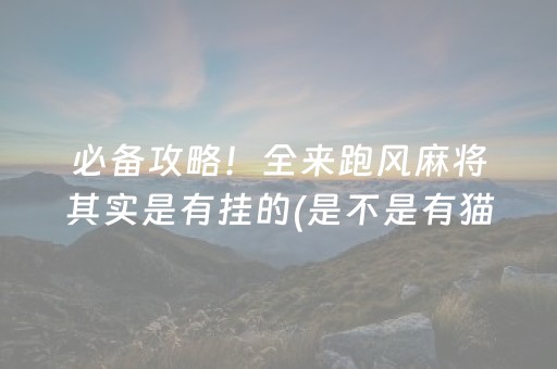必备攻略！全来跑风麻将其实是有挂的(是不是有猫腻)