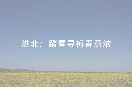 终于发现了“边锋跑得快有挂吗”（详细透视教程）-哔哩哔哩