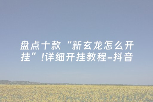 盘点十款“新玄龙怎么开挂”!详细开挂教程-抖音