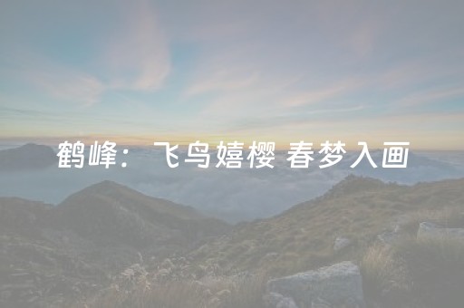 今日实测“雀神广东麻将插件骗局最新曝光”（详细辅助教程）-哔哩哔哩