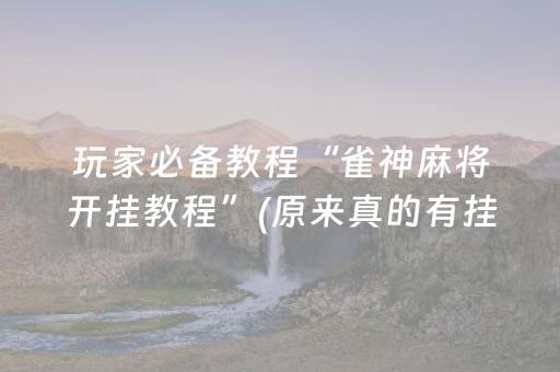 今日实测“手机雀神麻将助赢神器”（详细辅助教程）-哔哩哔哩