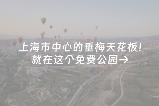 必看教程！“闲逸跑得快亲友圈怎么提高胜率”（详细透视教程）-哔哩哔哩