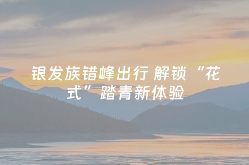 实测分析“手机跑得快辅助器通用版”（详细辅助教程）-哔哩哔哩