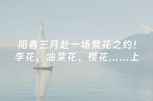 玩家必备教程“微信qq斗牛抢红包控制金额尾数方法扫雷”（详细透视教程）-哔哩哔哩