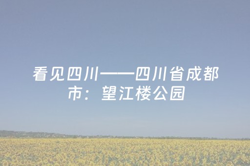 2分钟秒懂！“微乐陕西麻将铺牌器”（详细透视教程）-哔哩哔哩