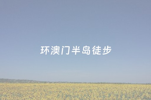 分享辅助“微信红包群抢红包避雷辅助软件挂哪里有”（详细透视教程）-哔哩哔哩