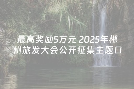 最高奖励5万元 2025年郴州旅发大会公开征集主题口号、吉祥物