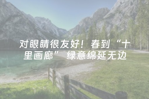 3分钟学会“微信真的有埋雷避雷10个包控制尾数开挂软件神器”（详细透视教程）-哔哩哔哩