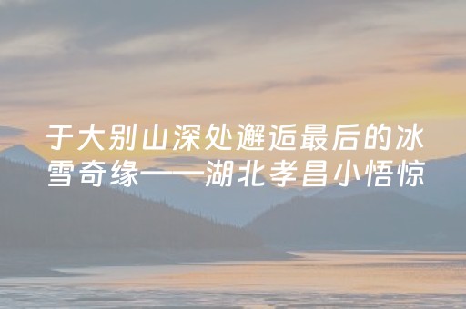 玩家必备教程“手机扑克牌读牌器”（详细透视教程）-哔哩哔哩