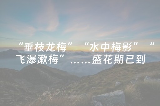 实测分享“微信斗牛怎么发现辅助神器（助赢神器通用版）
