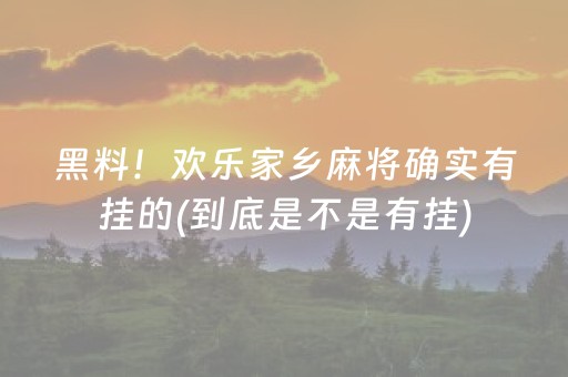 黑料！欢乐家乡麻将确实有挂的(到底是不是有挂)