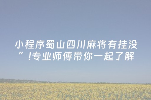 小程序蜀山四川麻将有挂没”!专业师傅带你一起了解（详细教程）-抖音