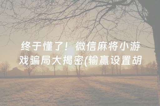 终于懂了！微信麻将小游戏骗局大揭密(输赢设置胡牌规律)