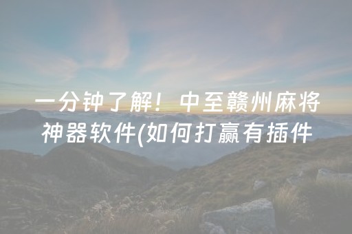 一分钟了解！中至赣州麻将神器软件(如何打赢有插件吗)