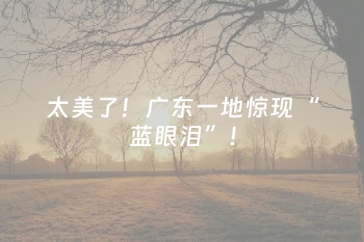 胜率设置方法“埋雷微信抢红包扫雷控制尾数开挂软件”（详细透视教程）-哔哩哔哩