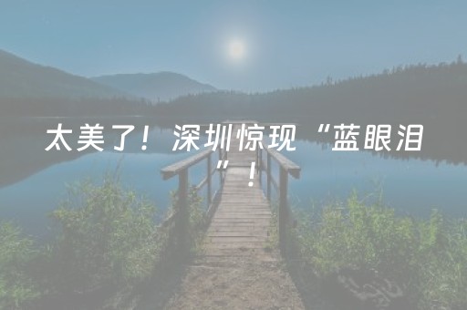 2分钟秒懂！“手机十三水的外挂能信吗”（详细辅助教程）-哔哩哔哩