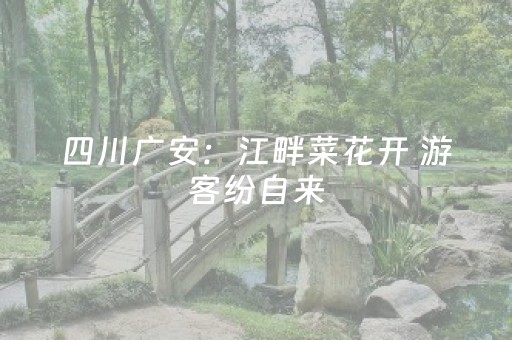 分享辅助“微信埋雷挂真的假的多少钱”（详细透视教程）-哔哩哔哩