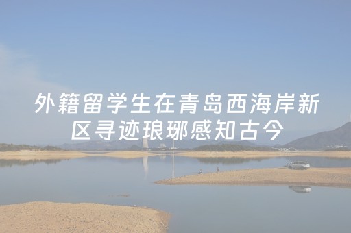 实测辅助“兴动麻将软挂神器（助赢神器通用版）