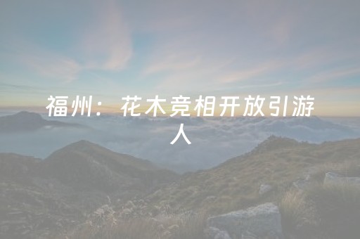终于发现“最新程序麻将机第九代”（详细透视教程）-哔哩哔哩