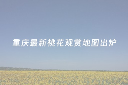 实测结果“微信抢红包避雷如何控制”（详细透视教程）-哔哩哔哩