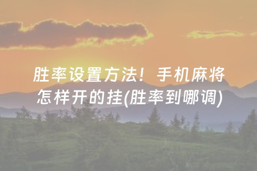 教程辅助“闲逸斗地主房主可以调胜率（专用辅牌神器免安装）