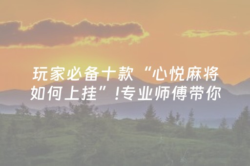 玩家必备十款“心悦麻将如何上挂”!专业师傅带你一起了解（详细教程）-抖音