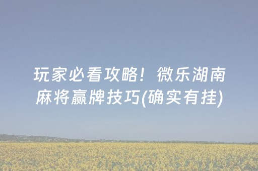 玩家必看攻略！微乐湖南麻将赢牌技巧(确实有挂)