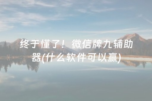 终于懂了！微信牌九辅助器(什么软件可以赢)