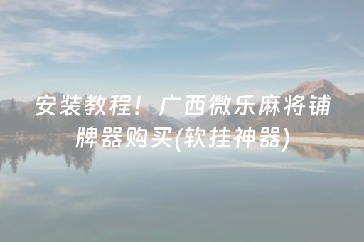 安装教程！广西微乐麻将铺牌器购买(软挂神器)