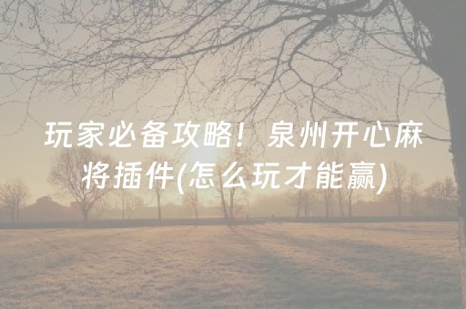 玩家必备攻略！泉州开心麻将插件(怎么玩才能赢)