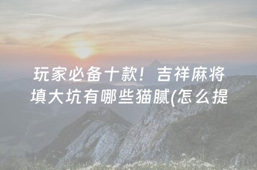 玩家必备十款！吉祥麻将填大坑有哪些猫腻(怎么提手拿好牌)