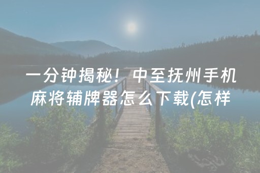 一分钟揭秘！中至抚州手机麻将辅牌器怎么下载(怎样设置才容易赢)
